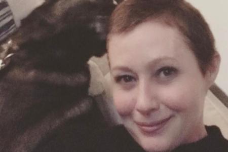 Bald hat sie wieder eine echte Frisur: Shannen Doherty