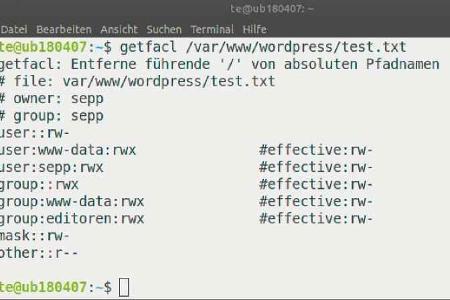 Das Tool getfacl gibt Auskunft über Benutzer und Gruppe einer Datei.