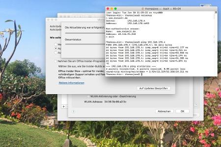 Testen der Namensauflösung