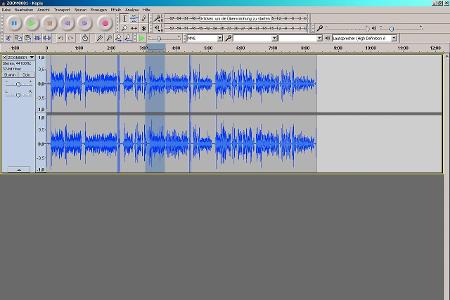 Mit der Software Audacity lässt sich digitalisierte Musik einfach schneiden und bearbeiten.