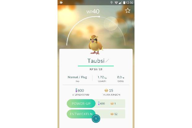 Eigenschaften des Taubsi Pokémon.