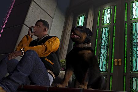 Dieser Hund gehört einem der Freunde von Trevor.