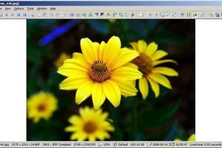 Imagine ist ein schlanker und schneller Bildbetrachter, mit dem Sie die digitalen Fotos auch noch verändern und Ihren Wünsch...