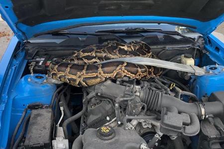 Python unter Motorhaube