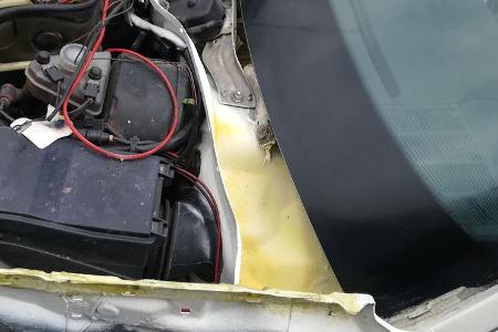 An vielen neuralgischen Stellen sammelt sich Feuchtigkeit. Gerne dort wo Wasser durch verstopfte Abflüsse stehen bleibt. Hoh...