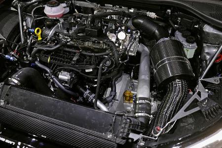 Audi RS3 LMS - TCR 2021