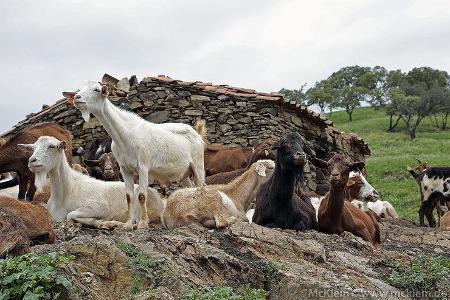 WRC Portugal 2013, Tag 1,