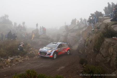 Thierry Neuville - Rallye Argentinien - WRC 2014