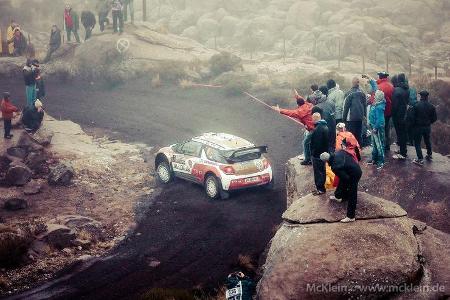 Kris Meeke - Rallye Argentinien - WRC 2014