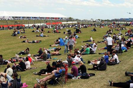 Formel 1-Tagebuch - GP England 2014