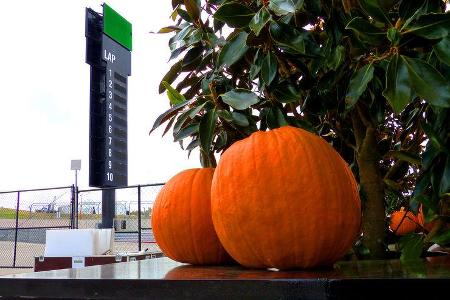 Impressionen - Formel 1 - GP USA - Austin - 21. Oktober 2015