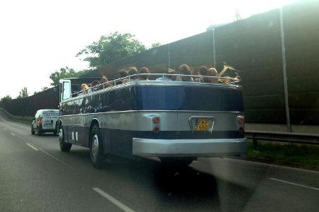 Formel 1-Tagebuch - GP Ungarn 2014