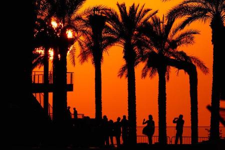 Impressionen - Formel 1 - GP Abu Dhabi - 21. November 2014