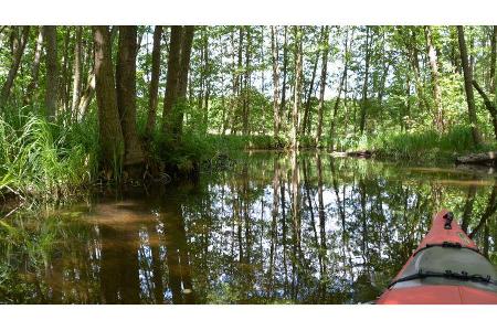 Zur einmaligen Verwendung - Uckermark