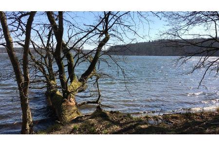 Zur einmaligen Verwendung - Uckermark