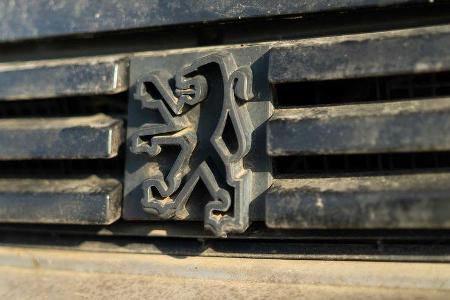 Peugeot 205 Gti Restaurierung