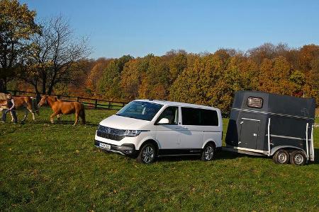 VW Multivan 6.1 Pan-Americana