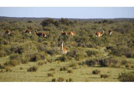 Campingreise durch Süd- und Nordamerika
