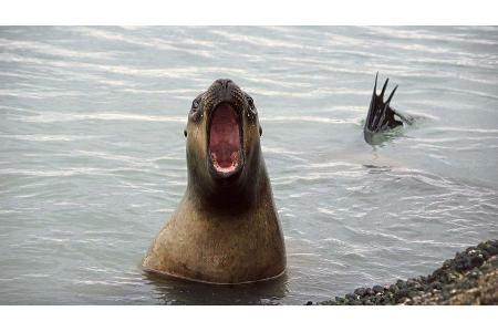 Campingreise durch Süd- und Nordamerika