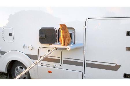 Schutz vor Ungeziefer