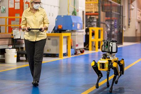 Fluffy Roborterhund Ford Boston Dynamics
