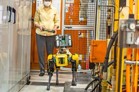 Fluffy Roborterhund Ford Boston Dynamics