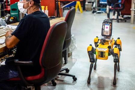 Fluffy Roborterhund Ford Boston Dynamics