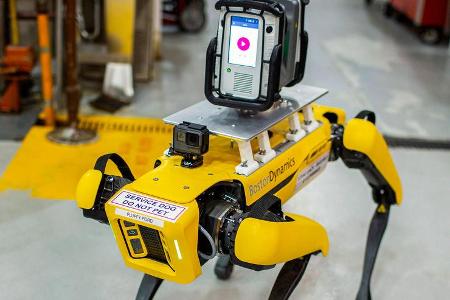 Fluffy Roborterhund Ford Boston Dynamics