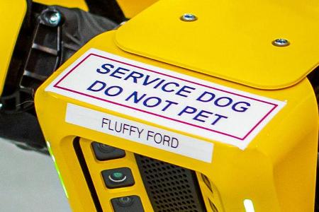 Fluffy Roborterhund Ford Boston Dynamics