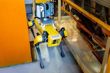 Fluffy Roborterhund Ford Boston Dynamics