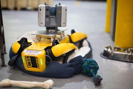 Fluffy Roborterhund Ford Boston Dynamics