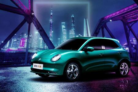 Great Wall Ora Good Cat