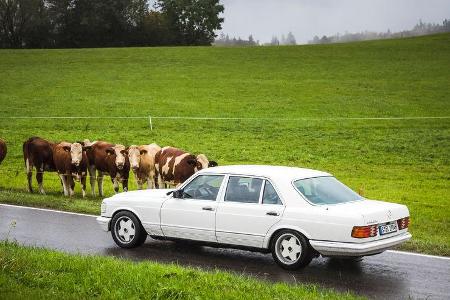 Mercedes W126 – Restaurierung im Realitäts-Check: Lohnt sich die Restaurierung eines Oldtimers?