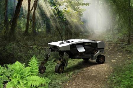 2/2021, Hyundai Tiger X-1