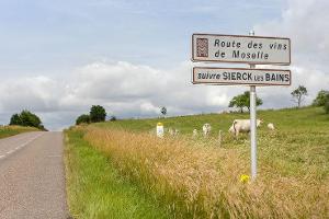 Frankreich Landstraße