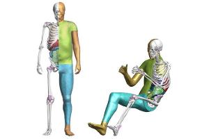 Toyota Crashtest Dummys THUMS