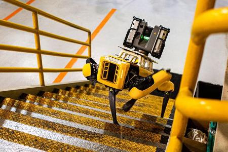 Fluffy Roborterhund Ford Boston Dynamics