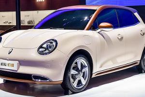 Great Wall Ora Good Cat