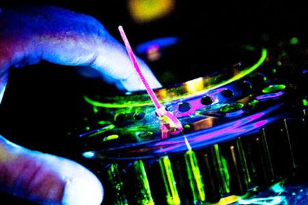 Mercedes GP - Fabrik Brackley