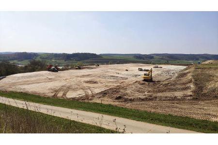 Grünes Licht Morelo