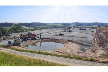 Grünes Licht Morelo