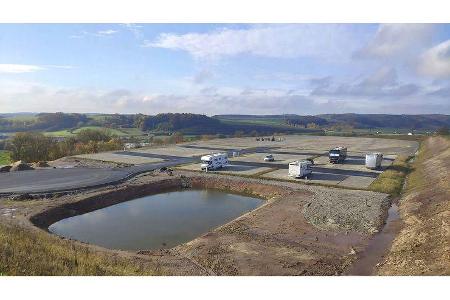 Grünes Licht Morelo