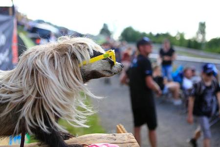 Fans - 24h-Rennen Nürburgring 2019 - Nordschleife