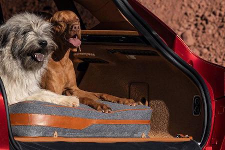 10/2019, Aston Martin DBX Ausstattungsdetails