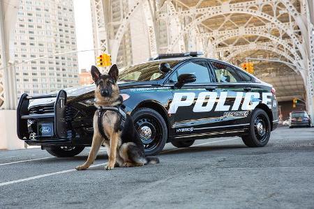 Ford Fusion Police Responder Hybrid