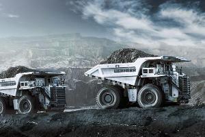 Liebherr Muldenkipper 284