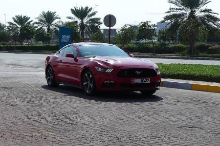 Ford Mustang - Carspotting - GP Abu Dhabi 2019