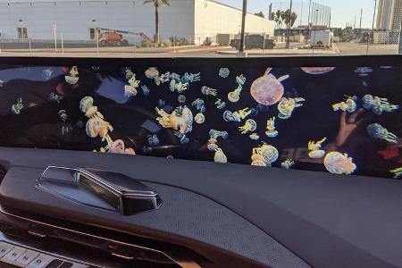 Erste Fahrt Byton M-Byte