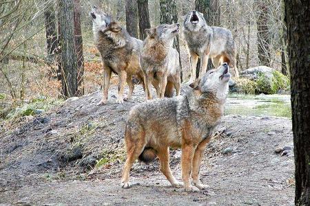 Touren-Tipps zu tollen Reise-Zielen