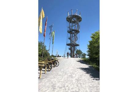 Grünes Licht Herrenberg